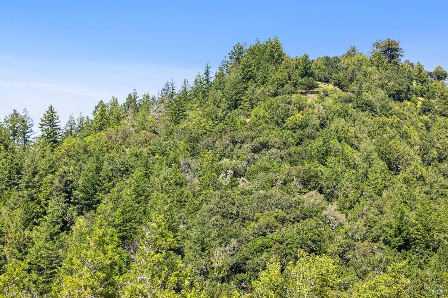 5675 Lucas Valley Rd