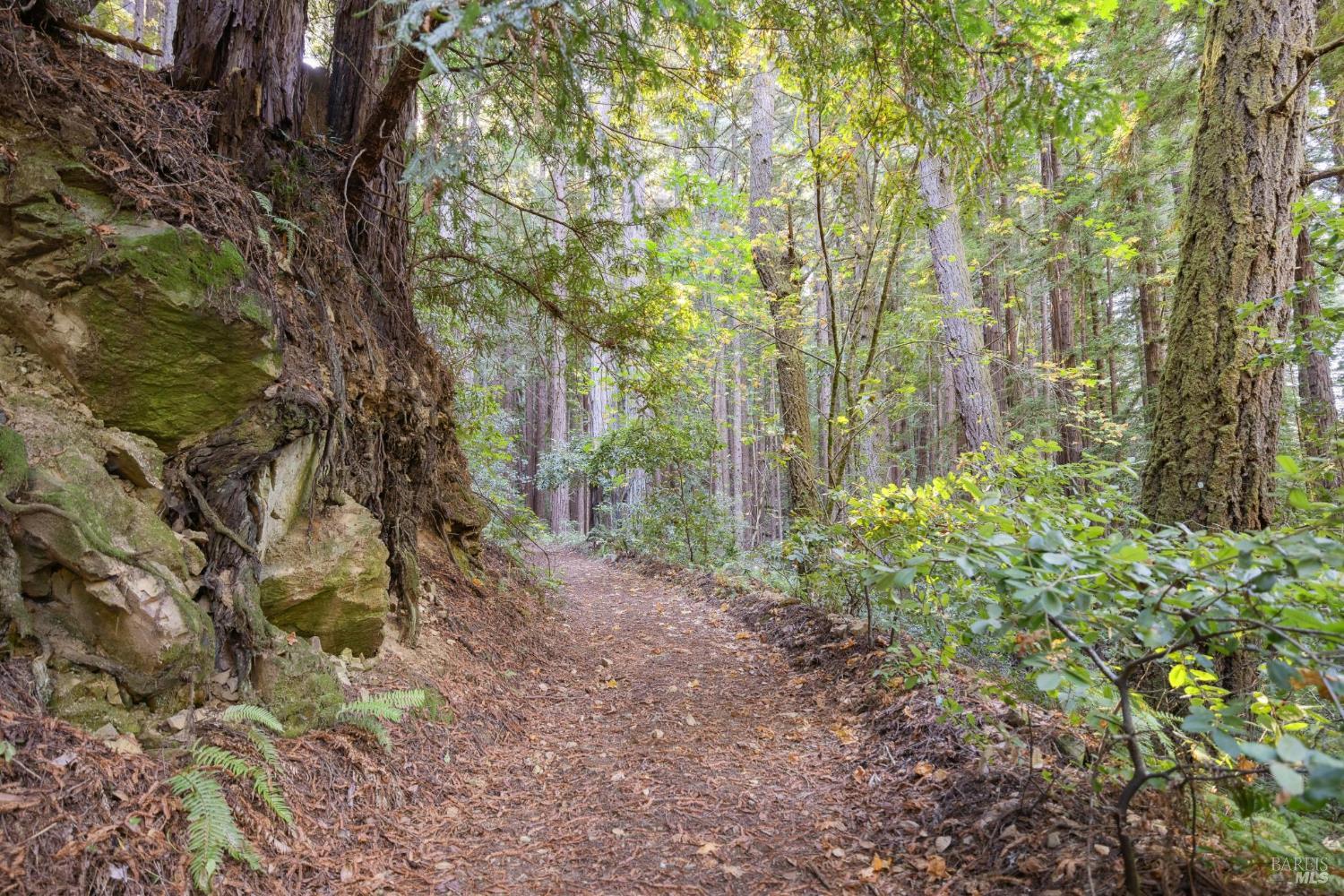 6935 Lucas Valley Rd