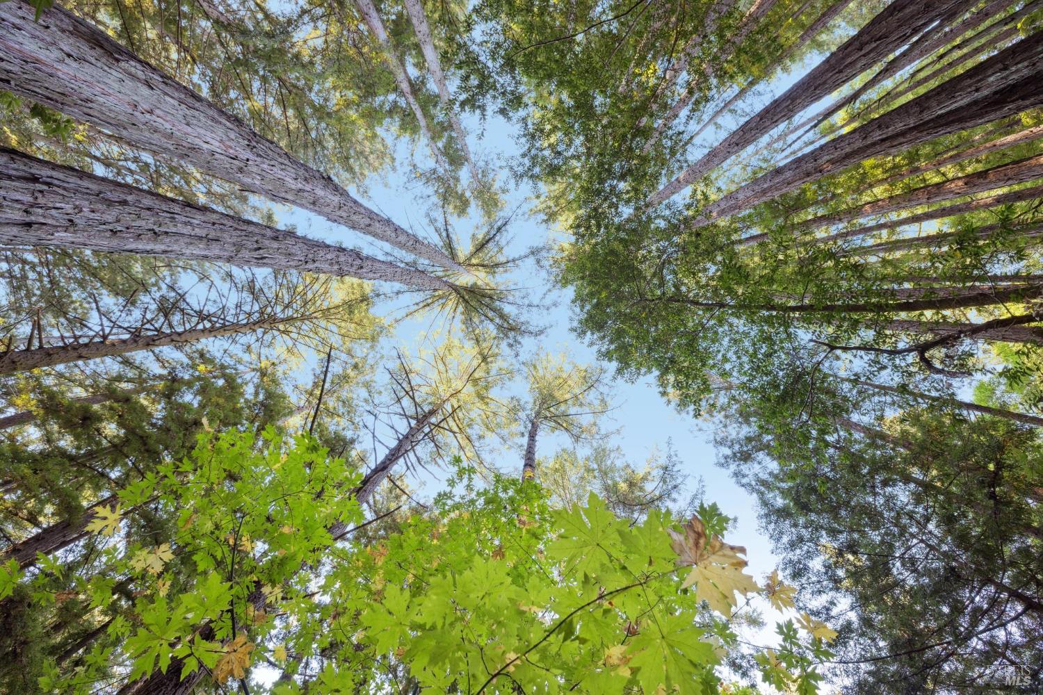 6935 Lucas Valley Rd