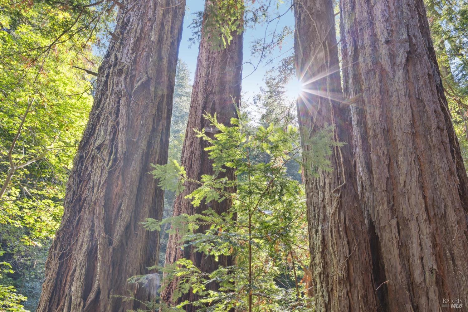 6935 Lucas Valley Rd