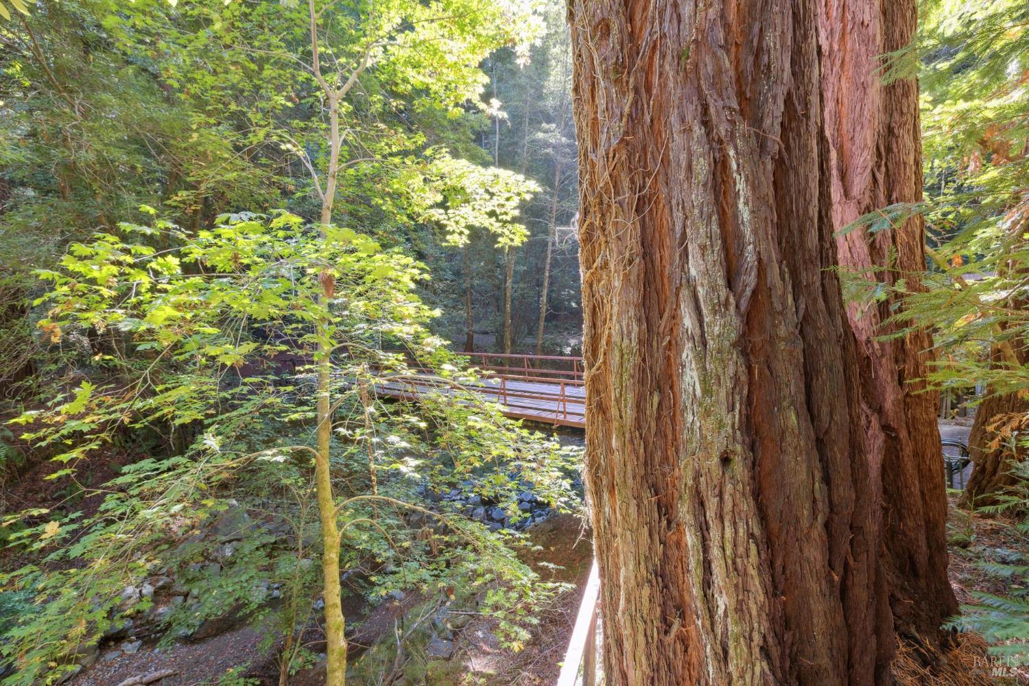 6935 Lucas Valley Rd