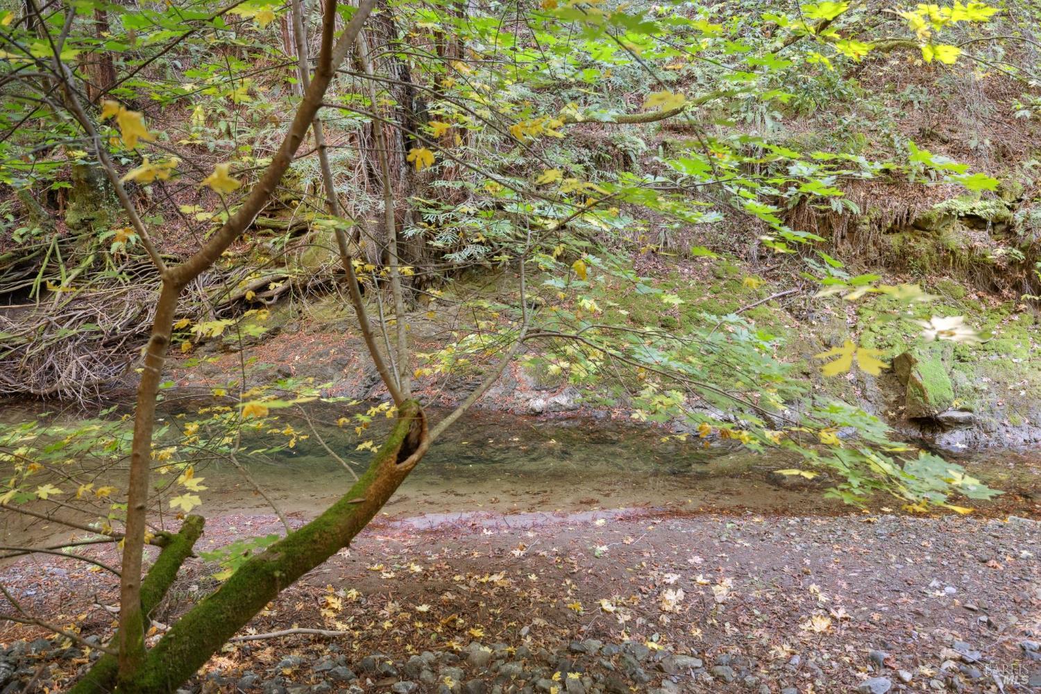 6935 Lucas Valley Rd