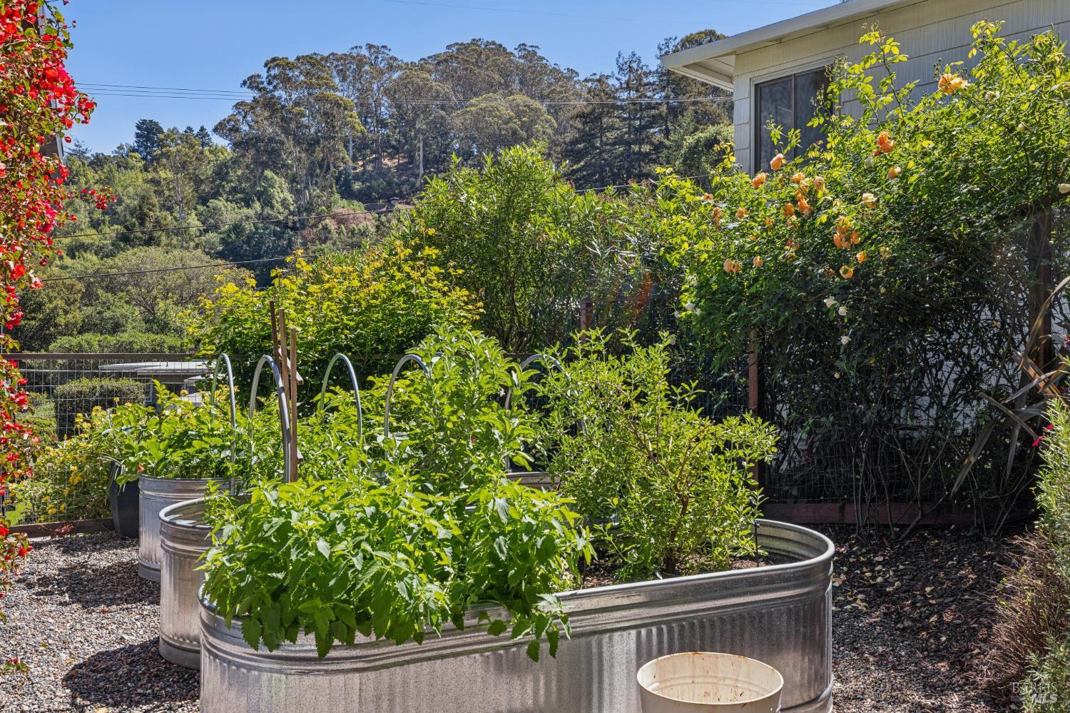 485 Montecito Avenue