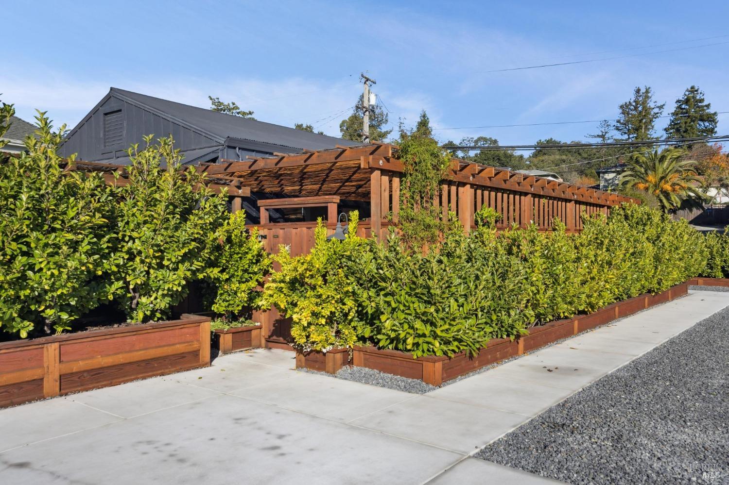 303 Bodega Avenue