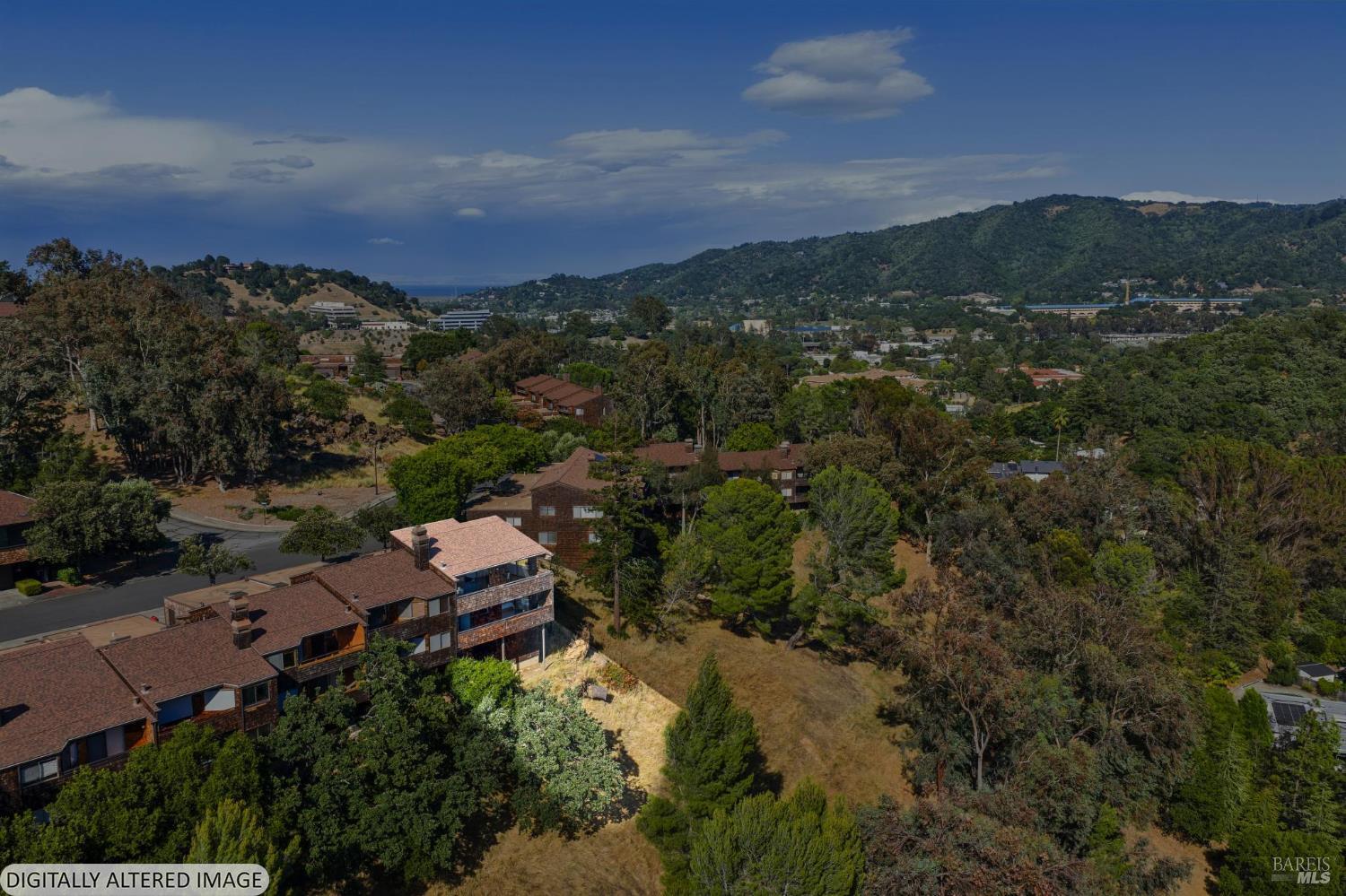 305 El Faisan Drive