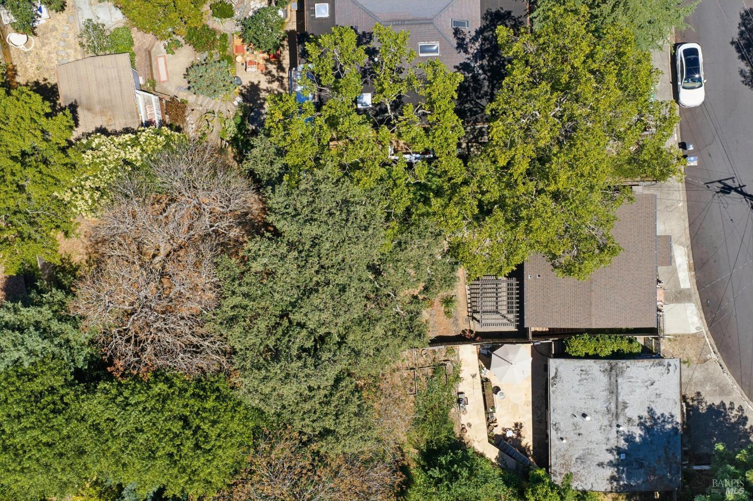 40 Elm Avenue