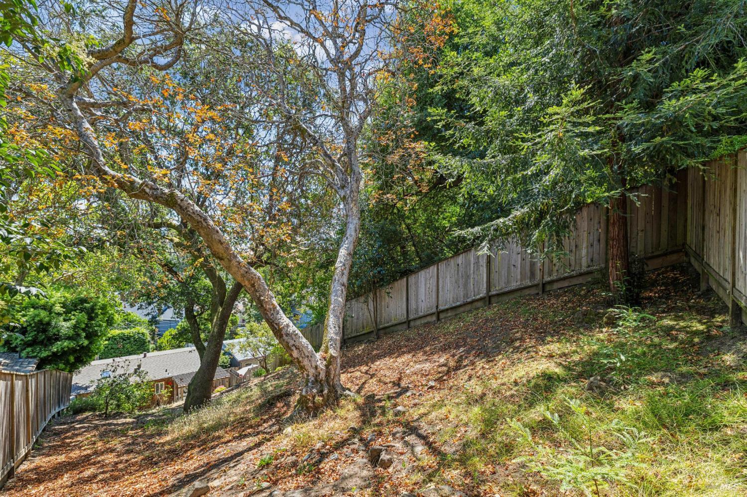 40 Elm Avenue