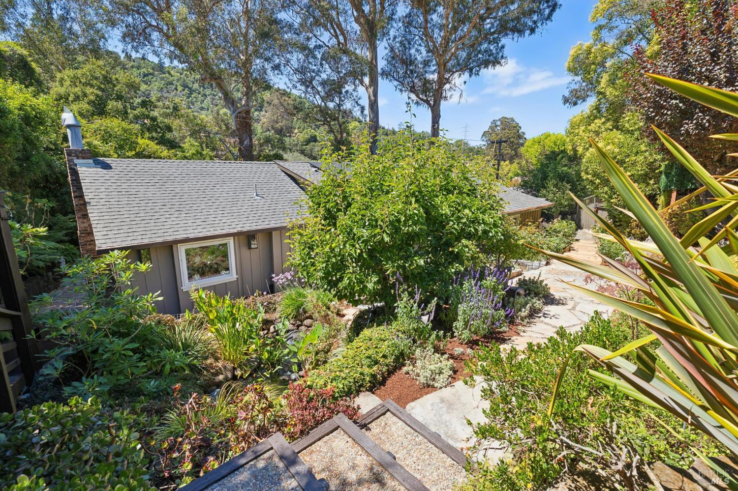 1407 Casa Buena Drive