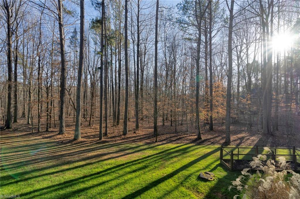 265 Nanzetta Way
