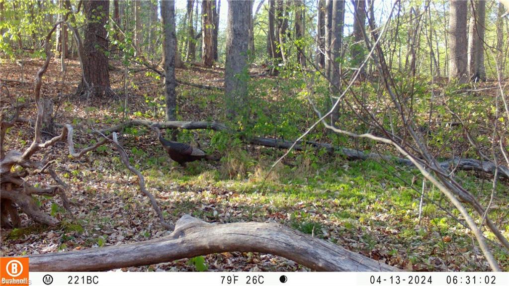 221 Ogburn Mill Road