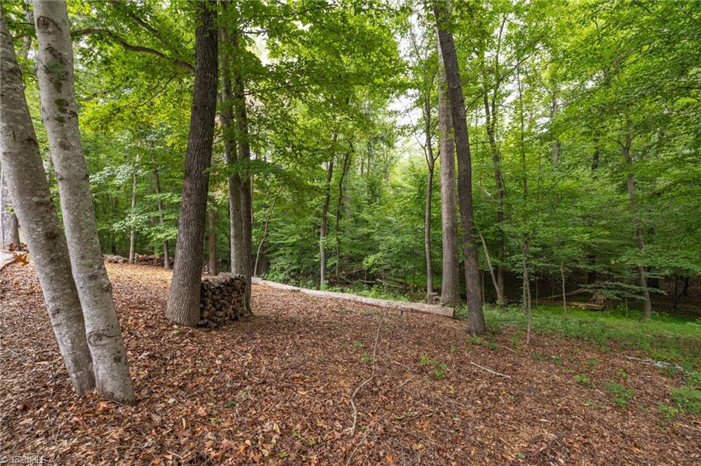 221 Ogburn Mill Road