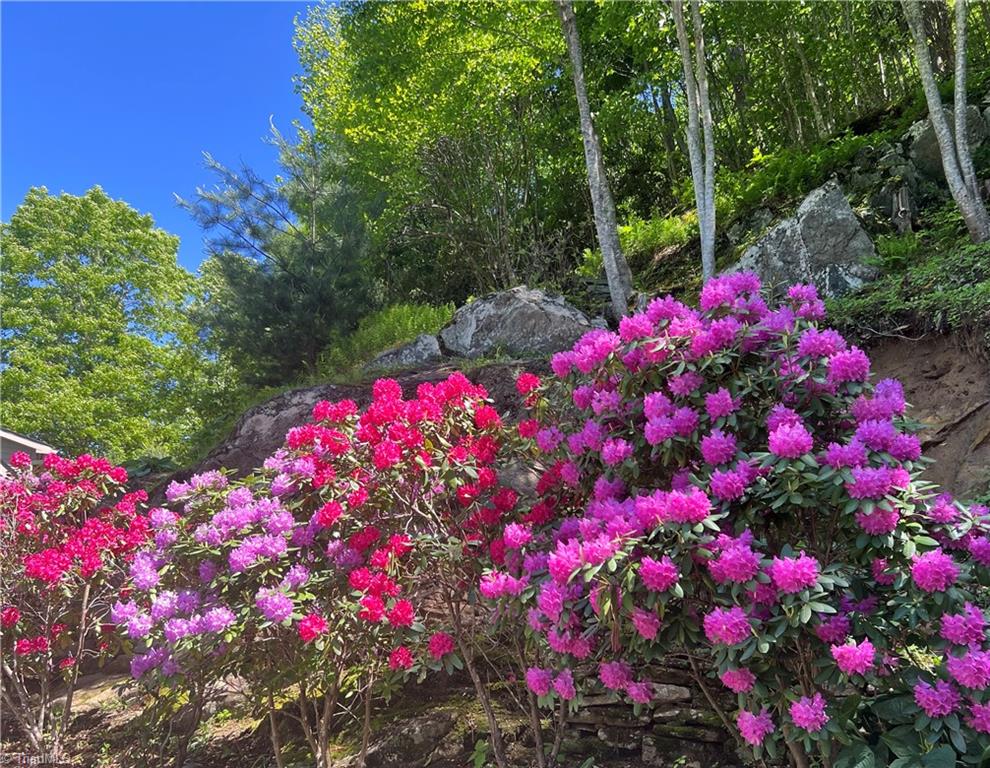 612 Joe Shoemaker Road