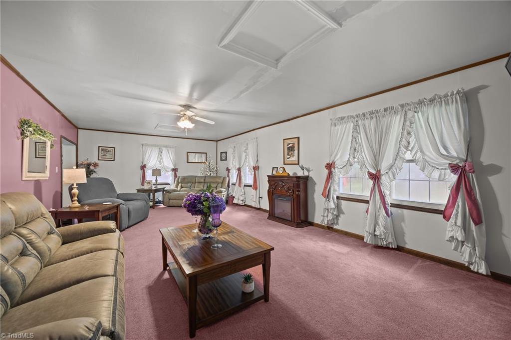 259 Meadow Lane