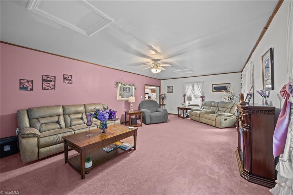 259 Meadow Lane