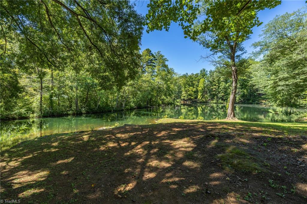 146 Brookdale Drive