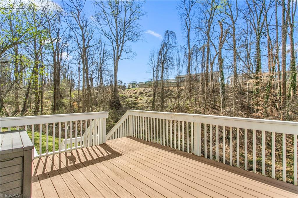 4408 Staghorn Court
