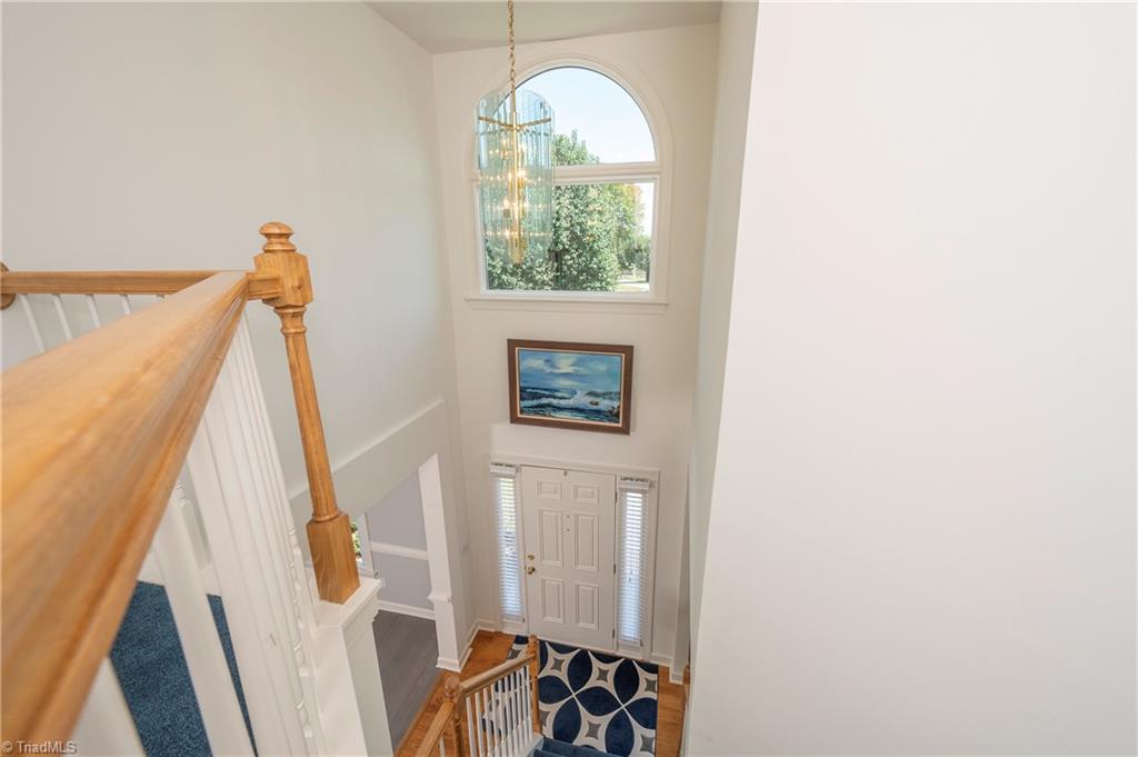 111 Lonetree Court