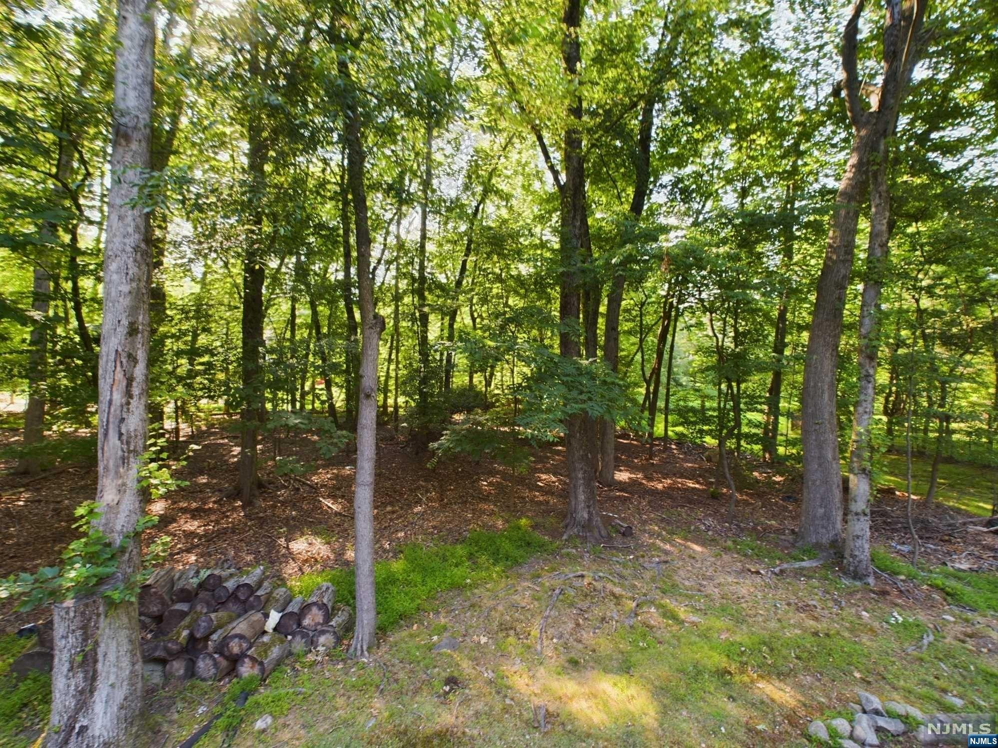 790 Norman Drive