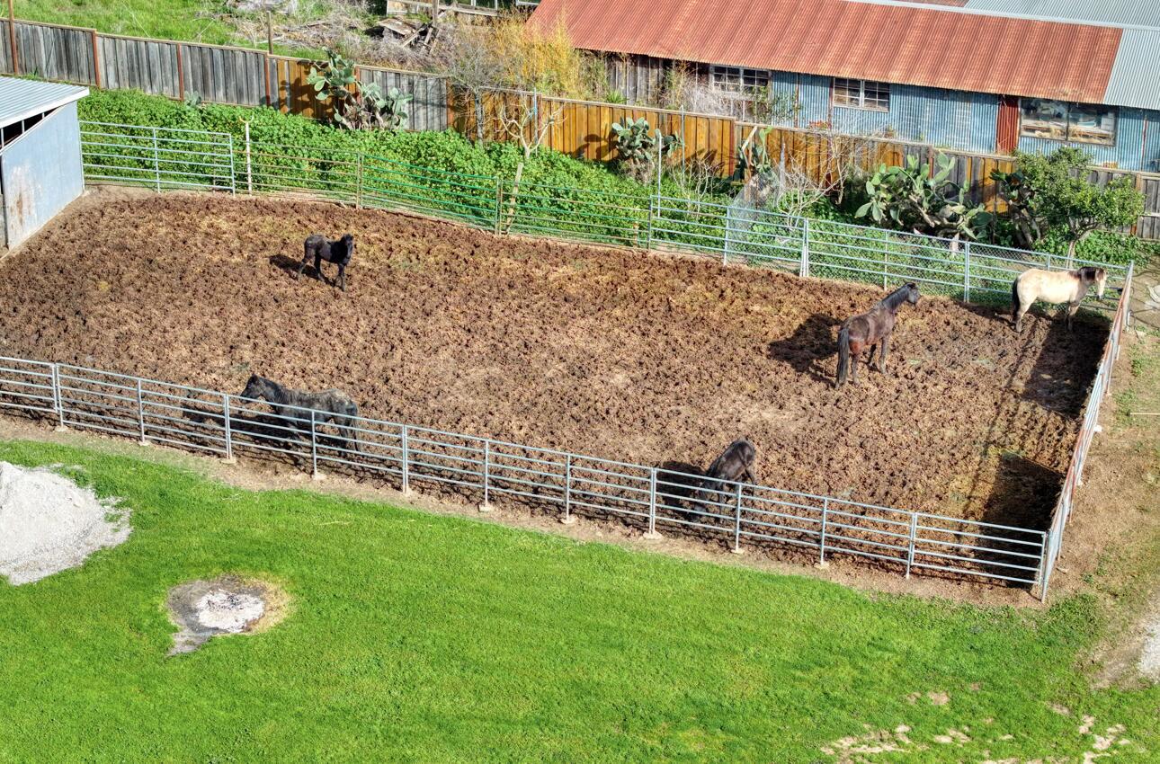 15780 Del Monte Farms RD