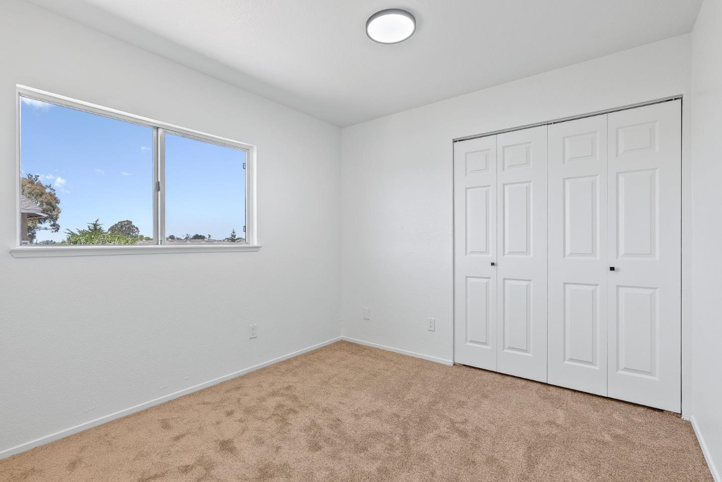 10 Rico CIR