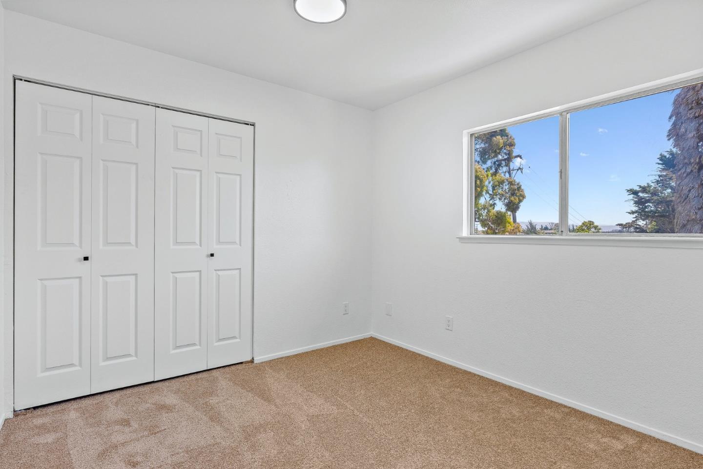 10 Rico CIR