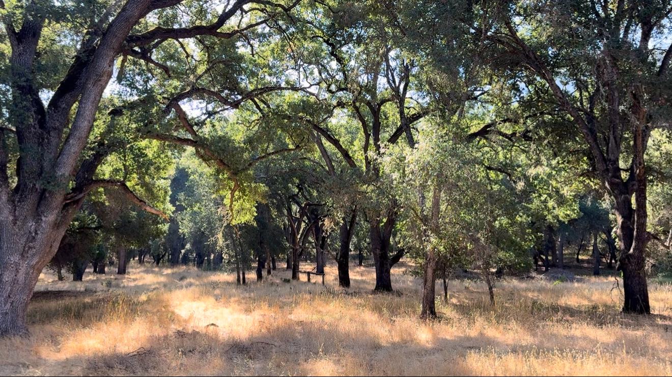 0 Arroyo Seco