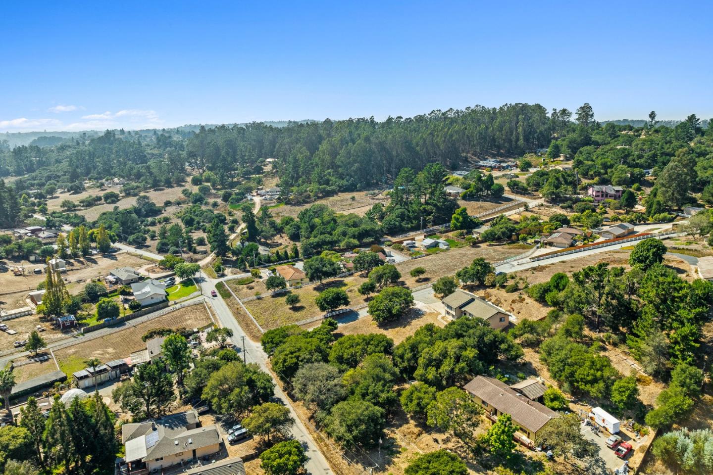 6595 Frankie Lane