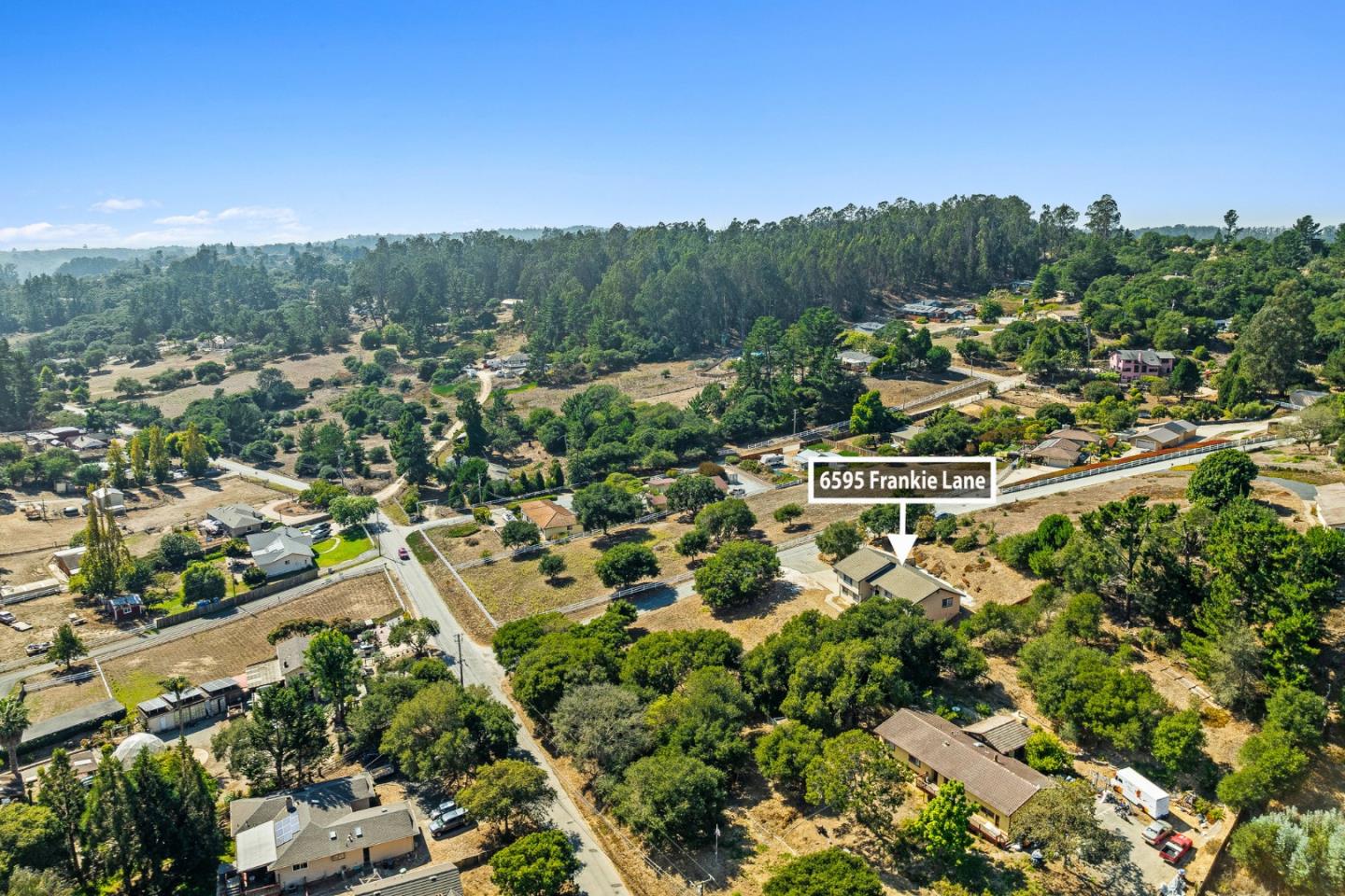 6595 Frankie Lane