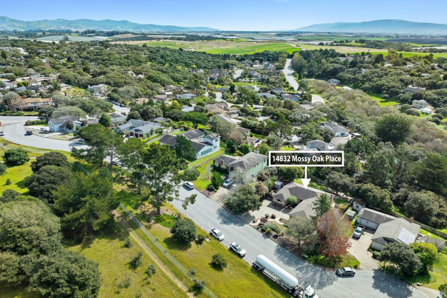 14832 Mossy Oak Place