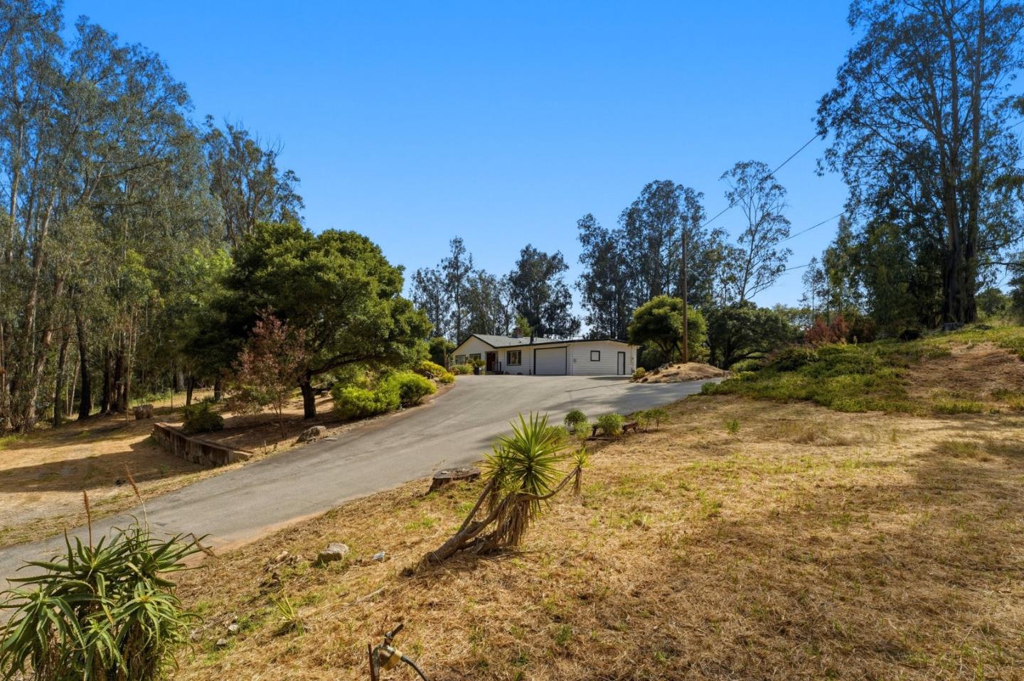 49 Frisch Road