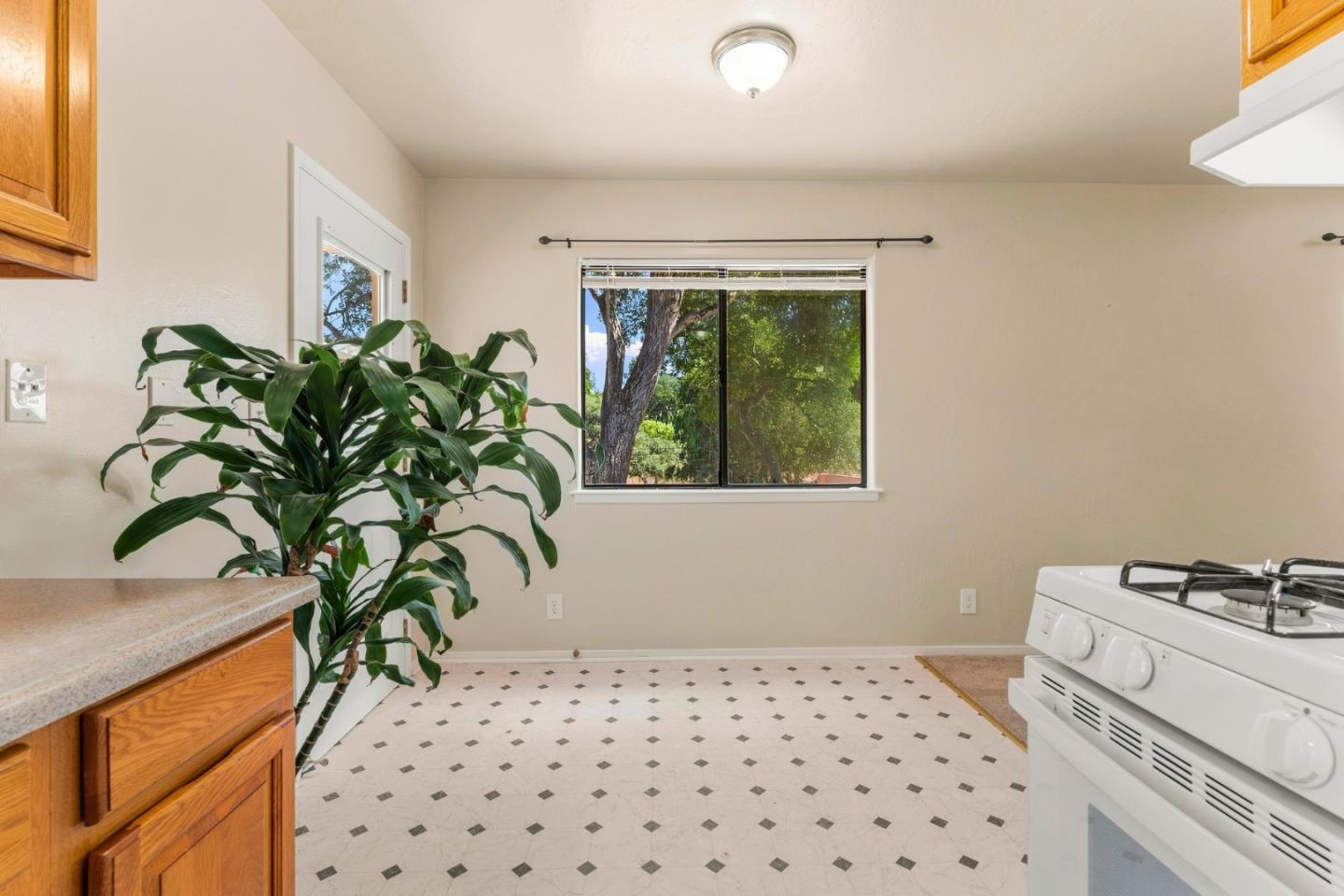 7685-7695 Pine Tree