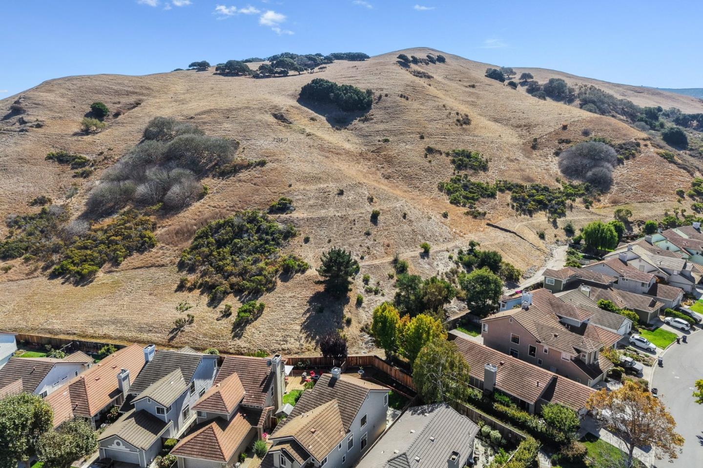 Aerial view of a dry, tree-dotted hillside rising above a neighborhood of homes.