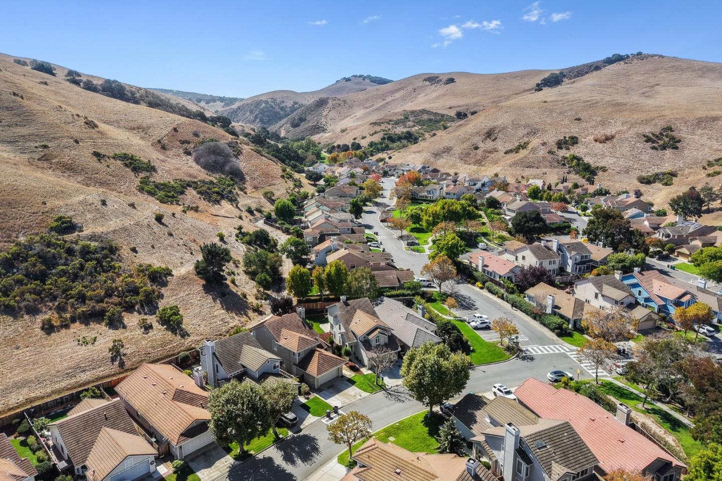 Aerial view of homes and tree-lined streets nestled between dry rolling hills.