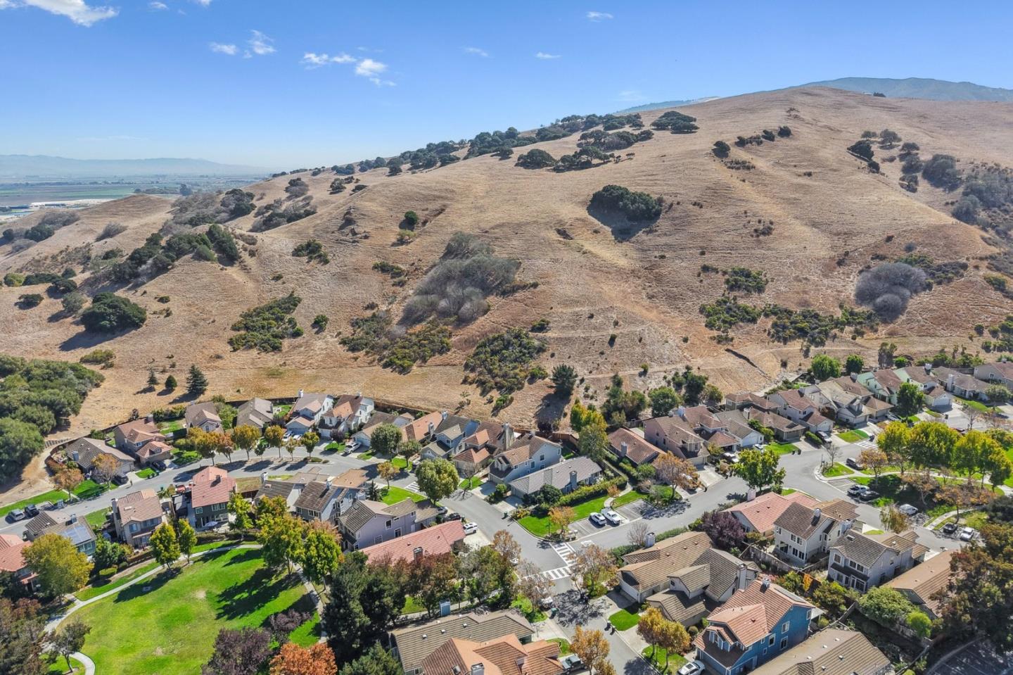 Aerial view of homes below a broad, dry hillside with scattered trees.