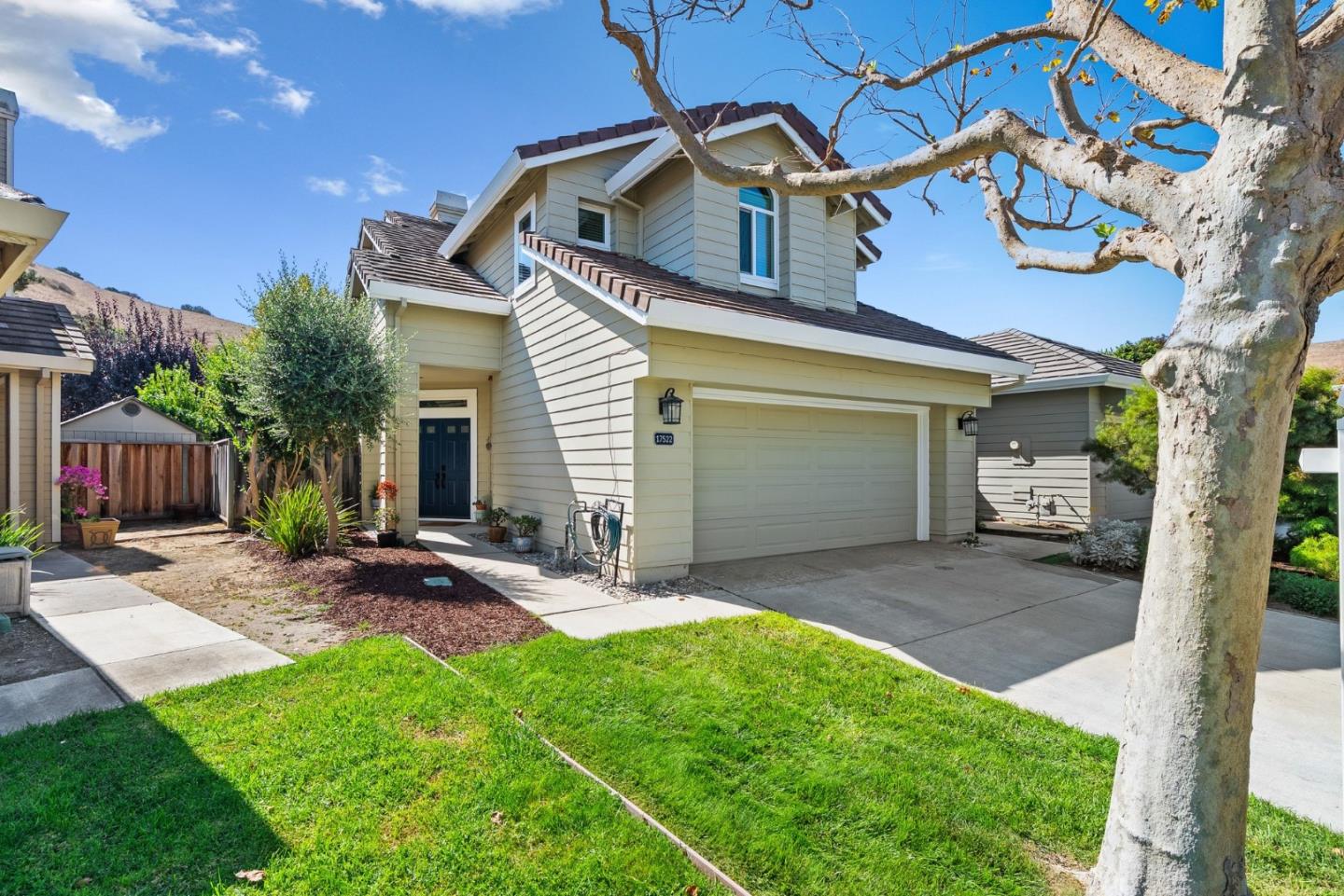 Two-story house with an attached double garage, green lawn, and large tree in the foreground.