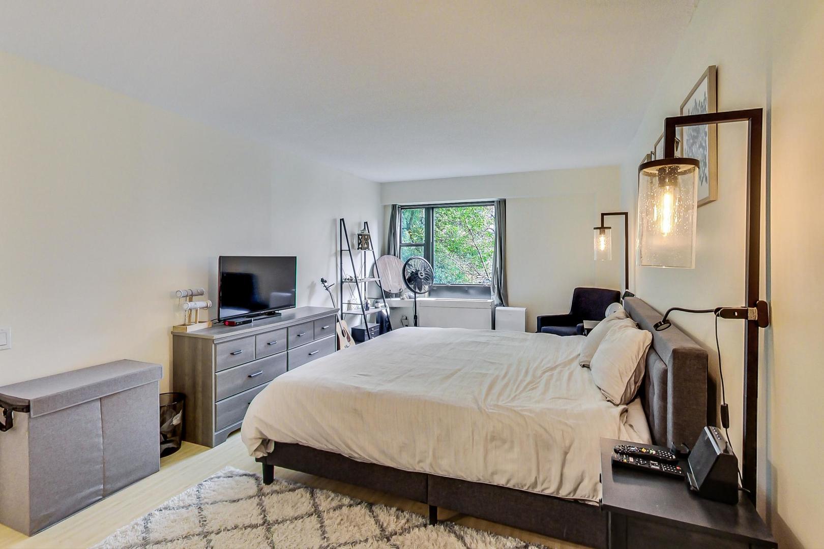 1169 S PLYMOUTH Court Unit: 304