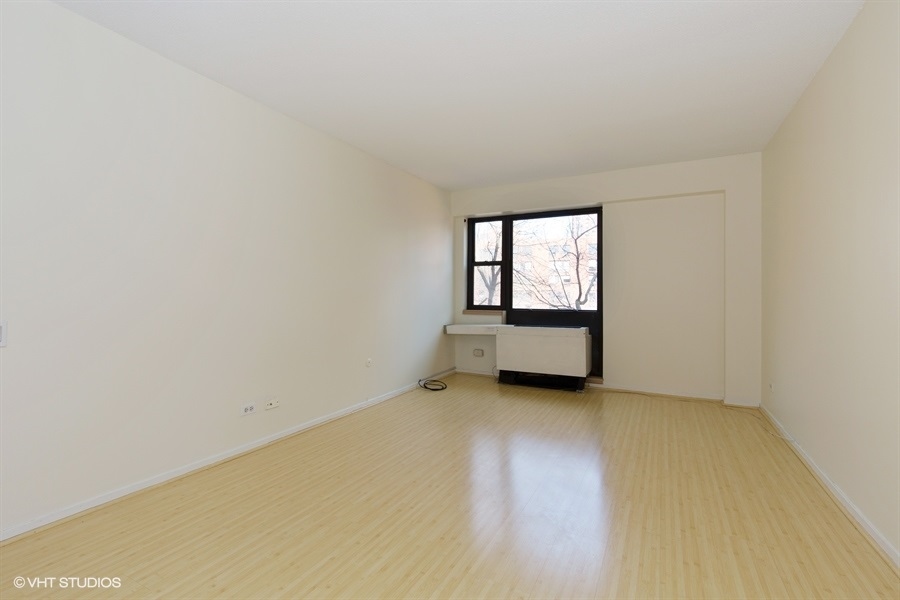 1169 S PLYMOUTH Court Unit: 304