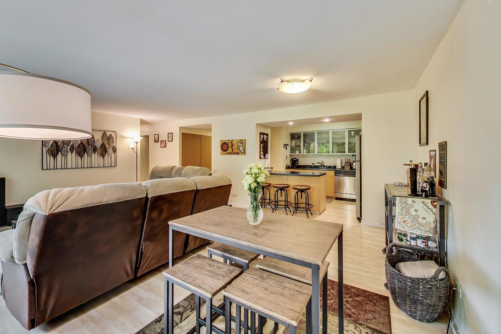 1169 S PLYMOUTH Court Unit: 304