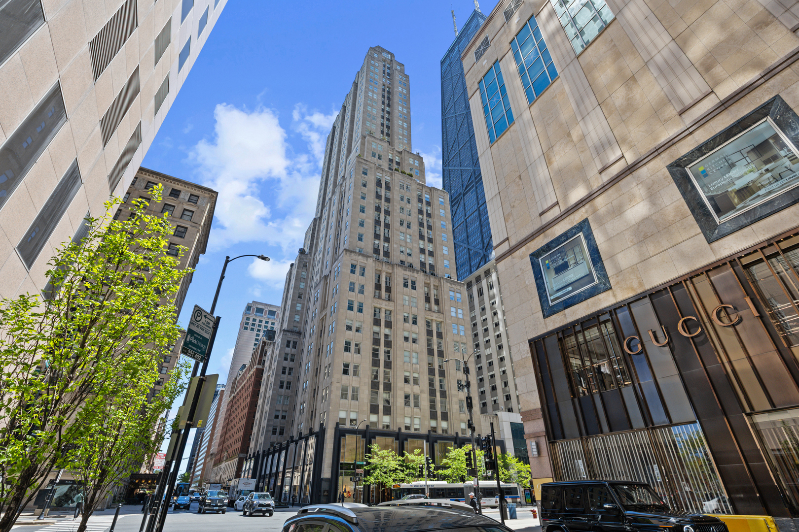 159 E Walton Place Unit: 12D