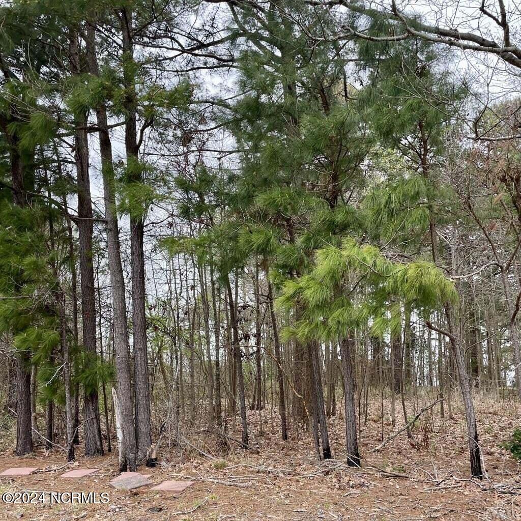 126 54 Tuscarora Trail