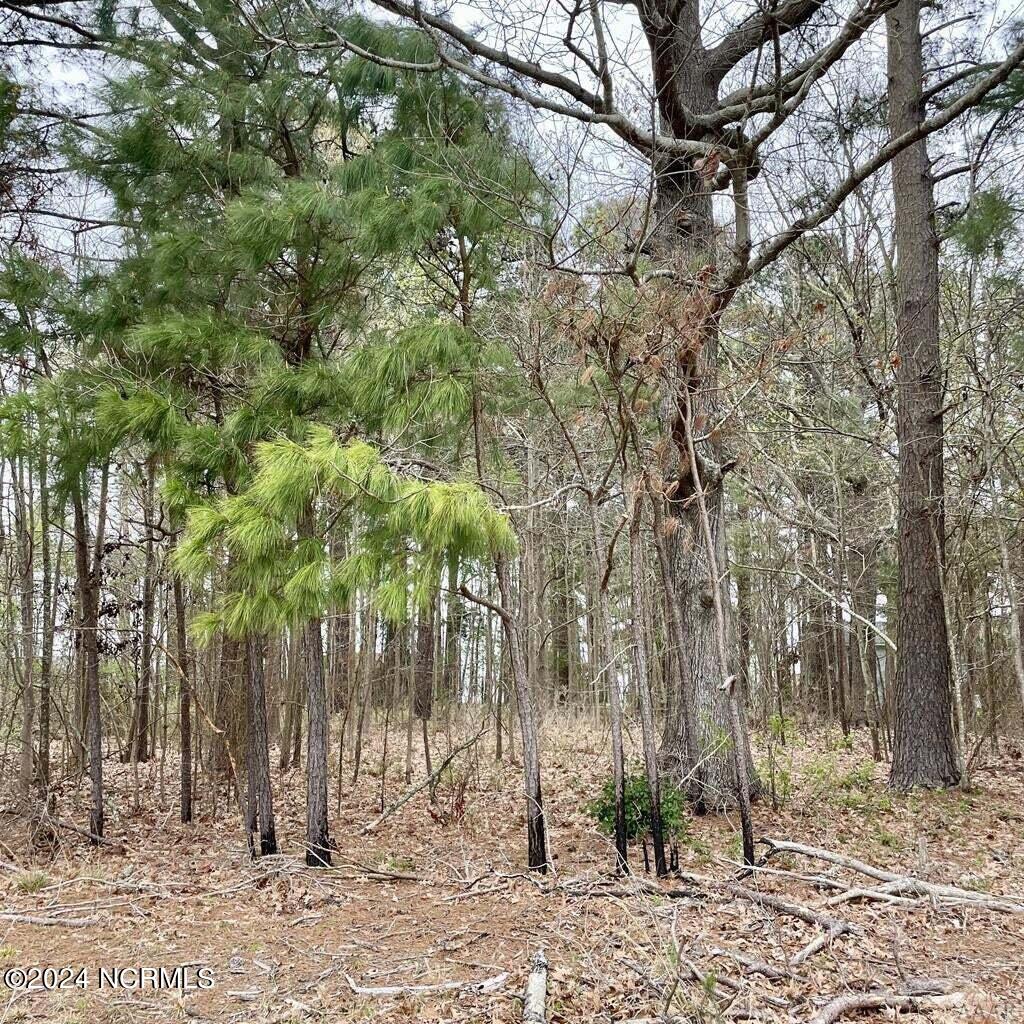 126 54 Tuscarora Trail