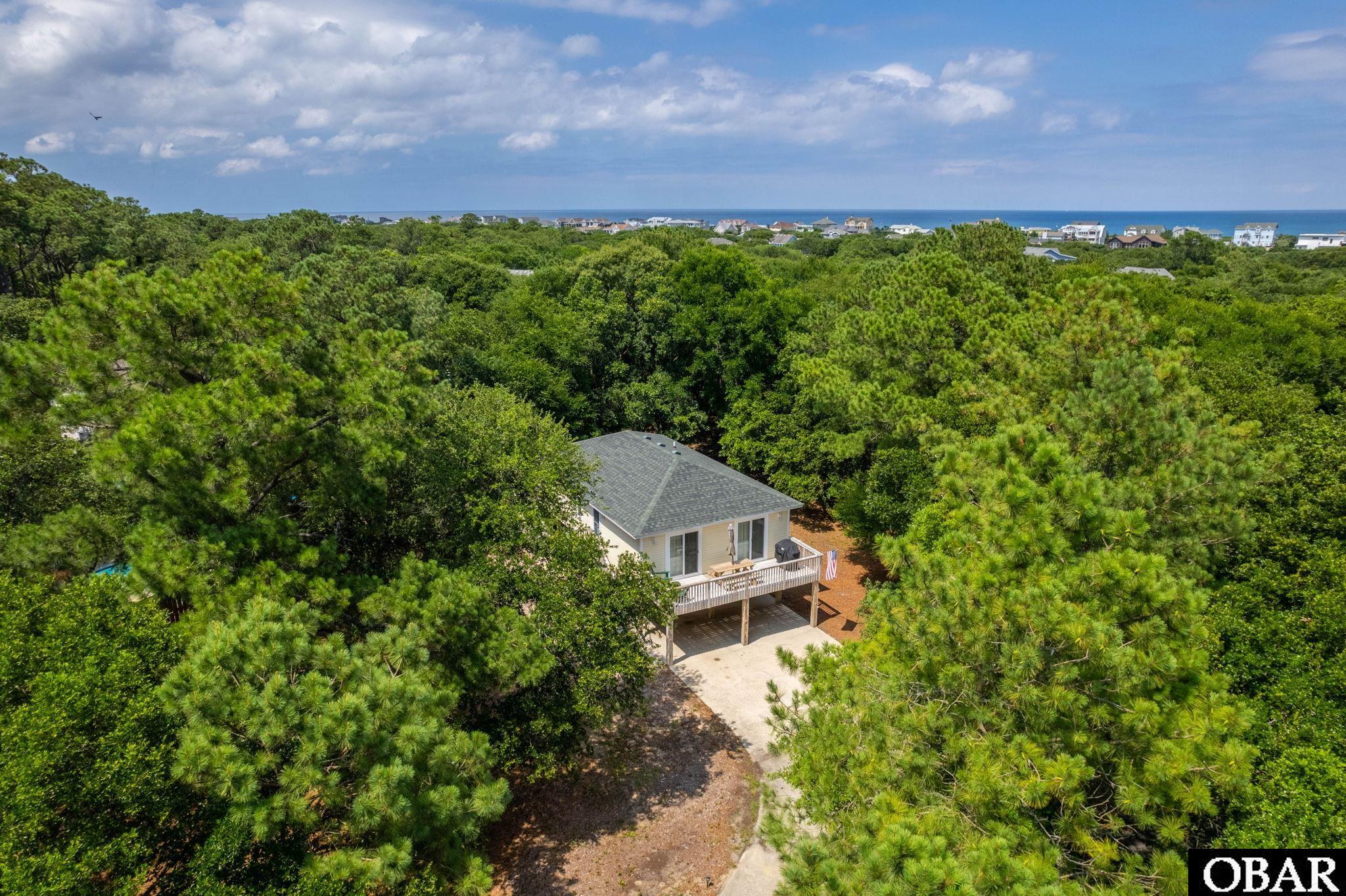Aerial view of a coastal home among trees, with the ocean visible beyond the neighborhood.