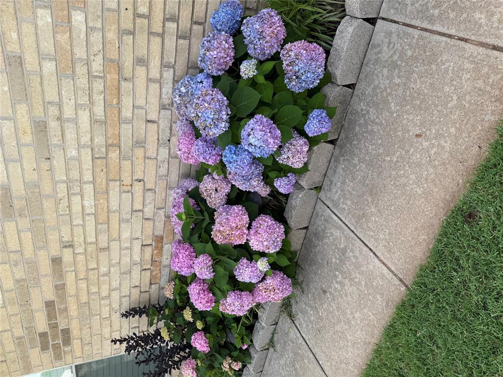 6101 Plum Thicket Road