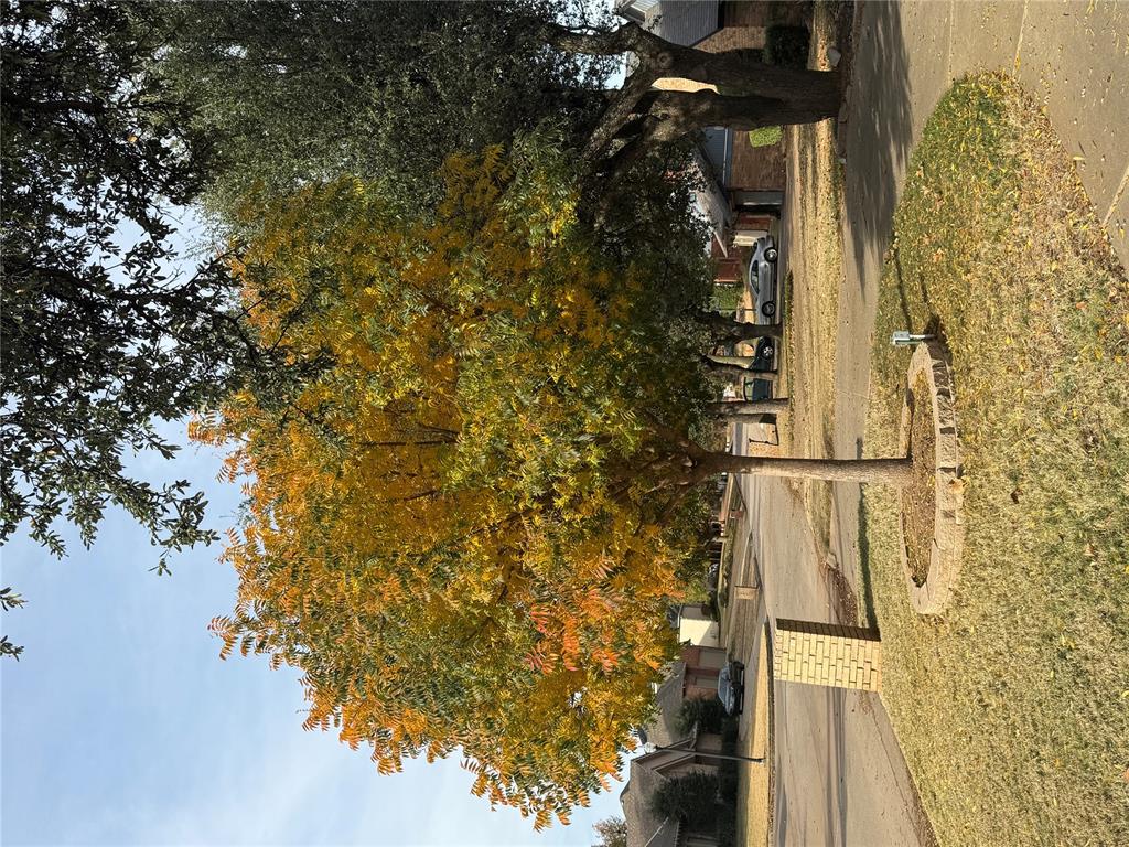 6101 Plum Thicket Road