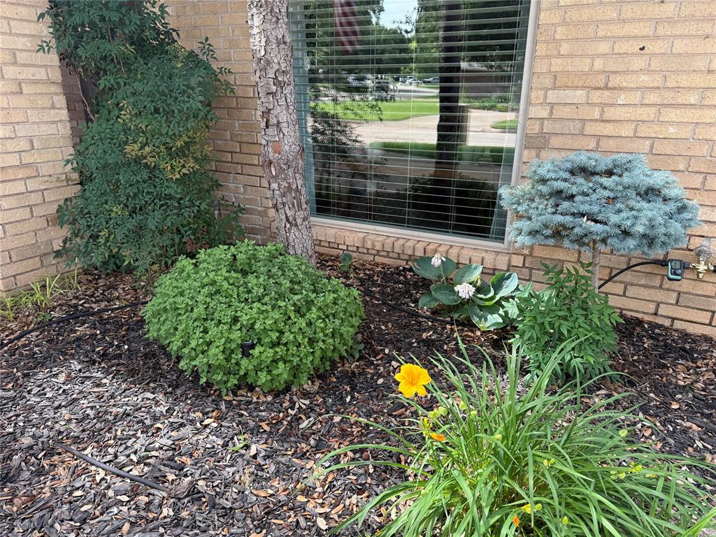 6101 Plum Thicket Road