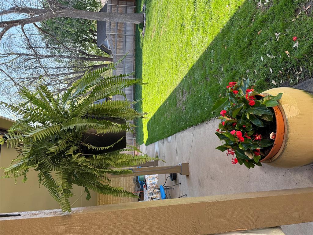 6101 Plum Thicket Road