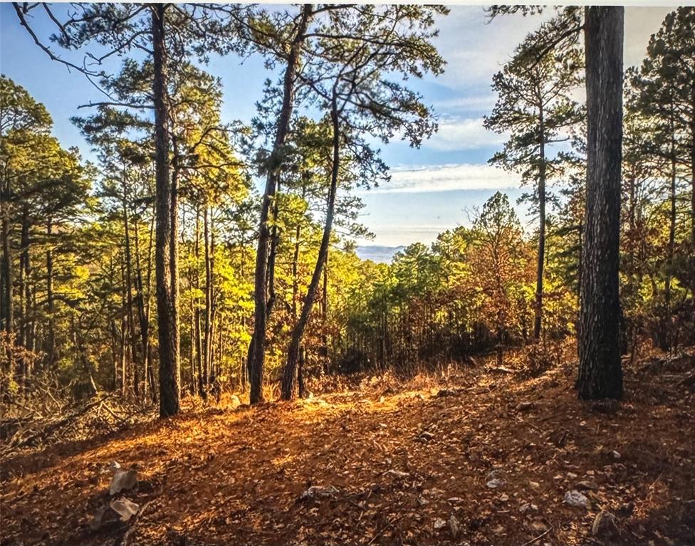 177499 Box Springs Mountain Road