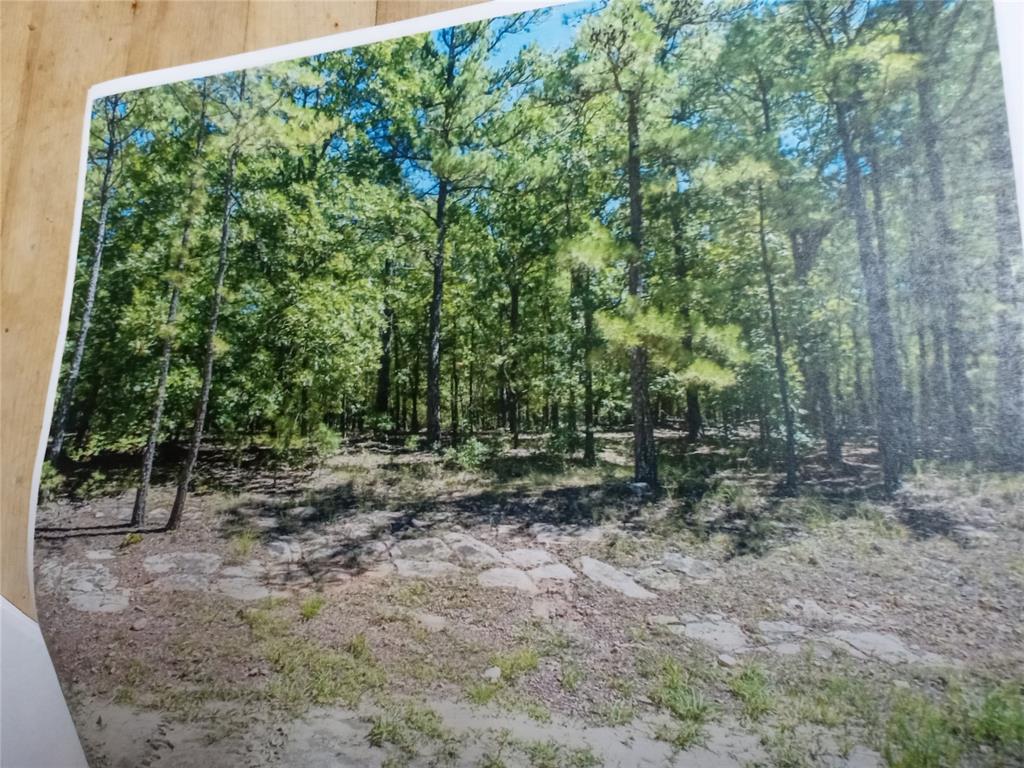 177499 Box Springs Mountain Road