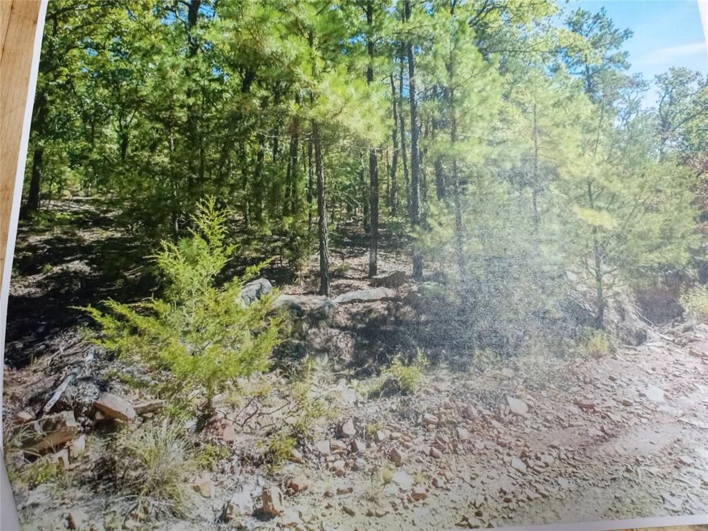 177499 Box Springs Mountain Road