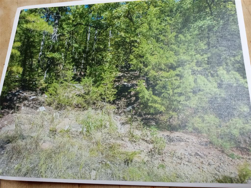 177499 Box Springs Mountain Road